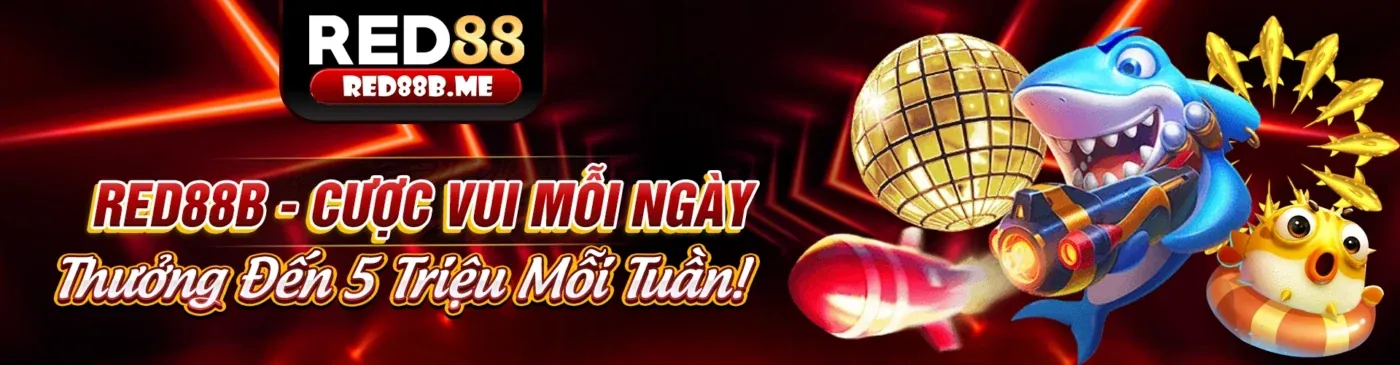 Hình ảnh đại diện Điều khoản và Điều kiện của Nhà cái Win678